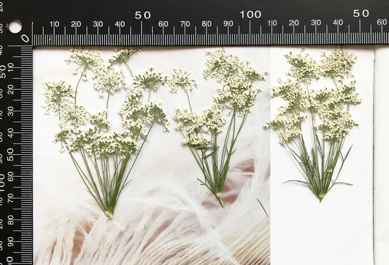 5–7 cm/12 Stück, kleine Schnee – Craft Embellishment Bewertung und Preis